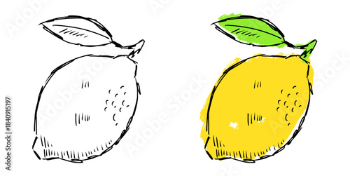 Grunge sketch handdrawn lemon vector for edgy drink branding and raw food art. Symbolizes zest, citrus intensity, and spontaneous design.