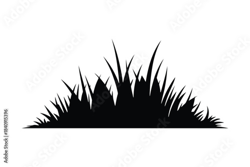 Black silhouette of a clump of grass on a white background vector