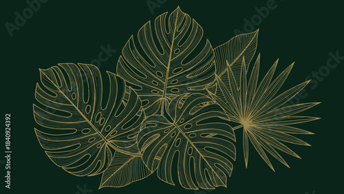 Elegant gold line art tropical leaves monstera and palm foliage illustration on dark green background perfect for botanical design and natural themes