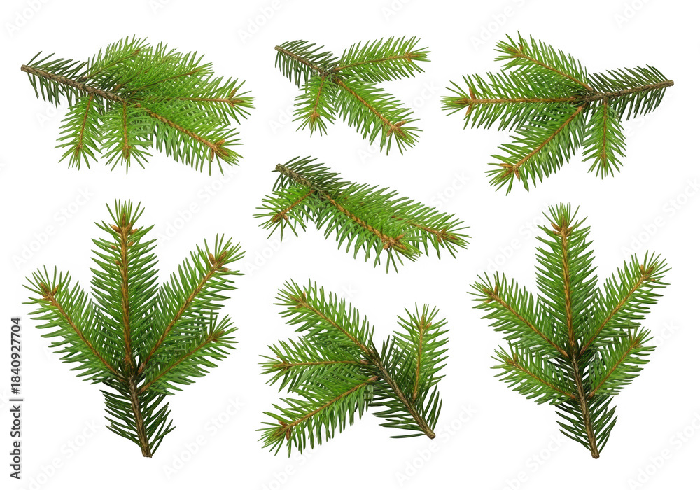 Naklejka premium Collection of realistic evergreen tree branches against a black background