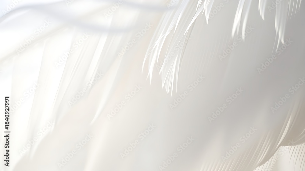 Fototapeta premium Close-up of a delicate white feather wing, showcasing intricate details in soft, focused light.