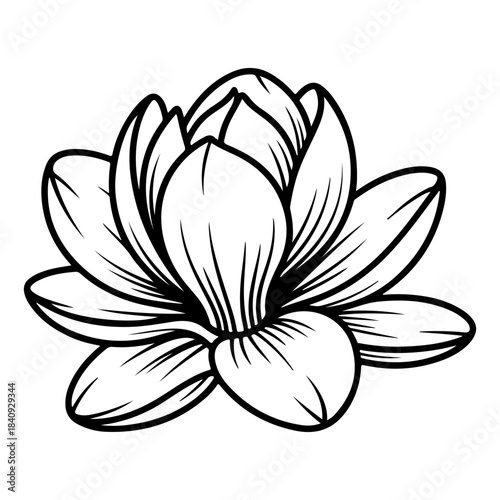 magnolia flower black logo silhouette