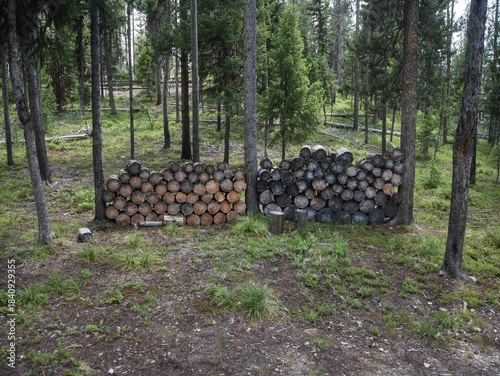 Stack of cut logs in backcountry hunting camp in Montana