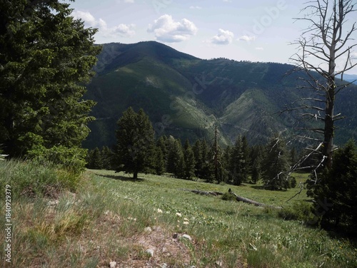 Beautiful hillsides in Bitterroot Mountains in Montana in summer