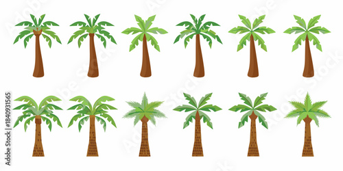 A collection of vibrant tropical palm trees in various styles and arrangements