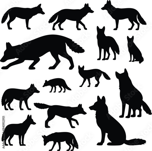 Coyote/Fox Silhouettes Variety, Set of Coyote/Fox Poses (Multiple), Wild Canine Hunting and Resting Silhouettes, Canis Latrans Graphic Set, silhouette, vector, illustration