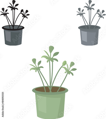 Green Potted Plant Illustration With Multiple Stems In A Flower Pot, Flat Style