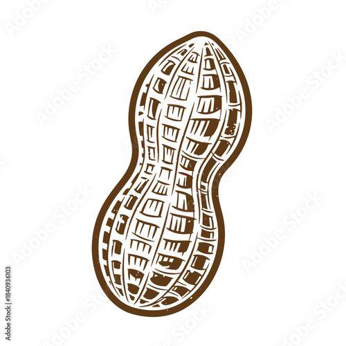 Detailed vintage sketch illustration of a peanut shell isolated on white background