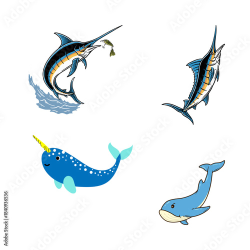 Exciting Marine Life and Majestic Ocean Creatures