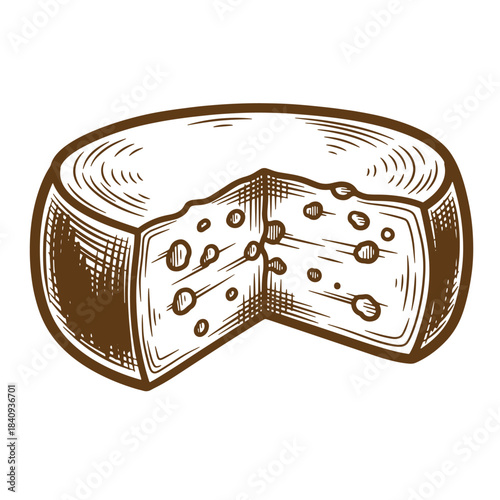 Hand drawn illustration of a delicious cheese wheel with a piece missing and holes