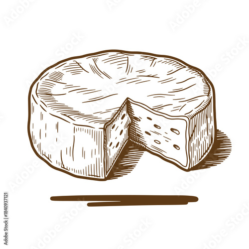 Hand drawn sketch illustration of a delicious brie cheese with a slice removed