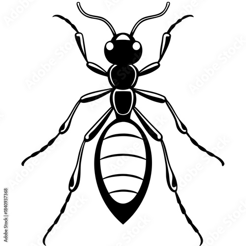 Ant simple vector illustration