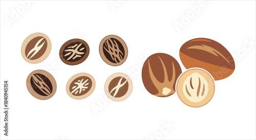 Flavorful Nutmeg Collection Detailed Illustrations of Whole, Halved, and Stylized Spice Icons