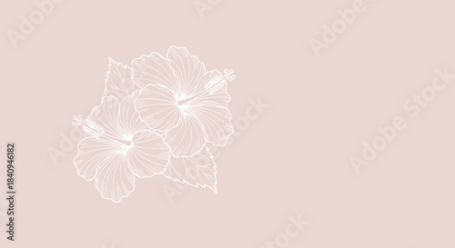 Soft pink background features a delicate white hibiscus illustration rendered in fine line art on the left side with subtle shading and ample negative space.