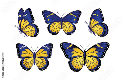 Collection of vibrant blue and yellow butterflies isolated on a white background
