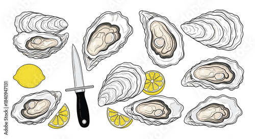 Fresh oysters on the half shell with bright lemon wedges and a sturdy kitchen knife ready for shucking beside a vibrant seaside platter of seafood delicacies.