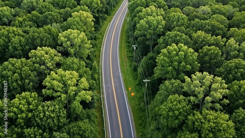 Scenic drone footage of a winding road cutting through lush green forest canopy