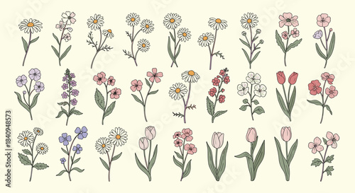 Delicate wildflowers in pastel hues stand in neat rows across a soft cream background creating a calm artistic botanical scene filled with gentle bloom shapes.