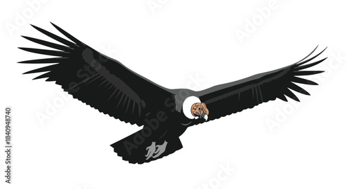 Majestic bald eagle soars across a bright sky with outstretched wings and a white head while powerful talons glint and it conveys freedom and strength.