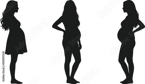 Silhouette set of pregnant women standing in different poses, illustrating maternity stages, motherhood concept, expecting mother lifestyle, feminine pregnancy vector illustration