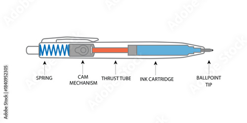 A precise cutaway illustration of a ballpoint pen showcasing its internal components for educational and product-design use.
