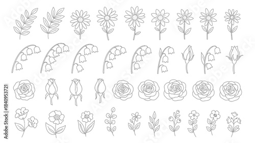 Hand-drawn black and white floral elements set for coloring and design