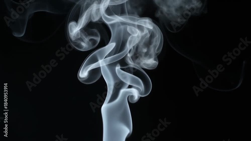 Wallpaper Mural White smoke twisting and rising on dark clean background creating abstract airy shapes. Torontodigital.ca