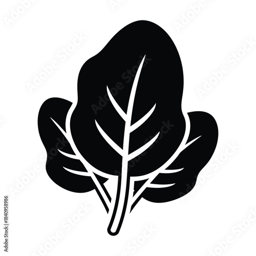 Black Silhouette of Spinach Leaves on White Background