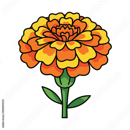 Cartoon marigold flower with orange and yellow petals on white background