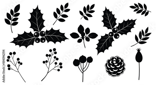 Black silhouette collection of winter botanical elements and pine cone holly leaf