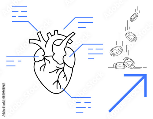 Healthcare, finance, investment, economic growth, medical innovation, data visualization. An anatomically drawn heart alongside coins and an arrow. Healthcare and financial innovation concept