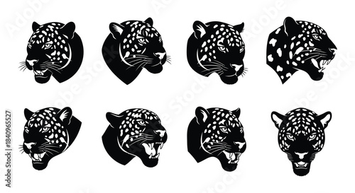 Eight black and white jaguar head illustrations in various poses