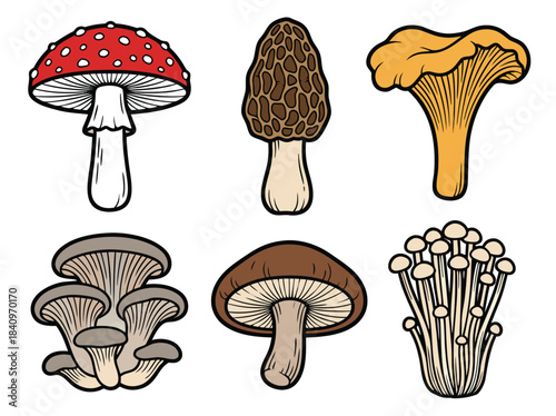 Six distinct types of edible and non-edible mushrooms illustrated in a vibrant, cartoonish vector art style on a white background.