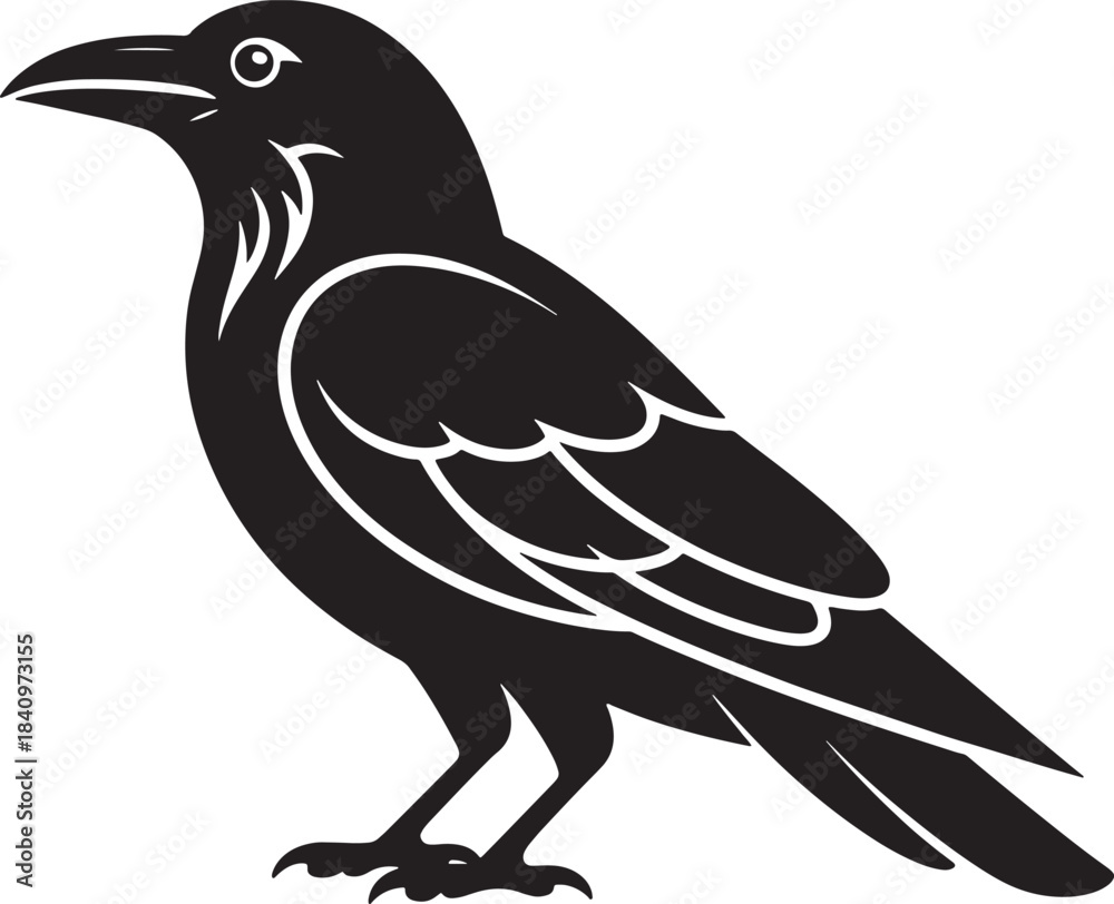 Fototapeta premium Stylized Raven Silhouette Vector – Detailed Black Bird Illustration Adobe Illustrator Artwork