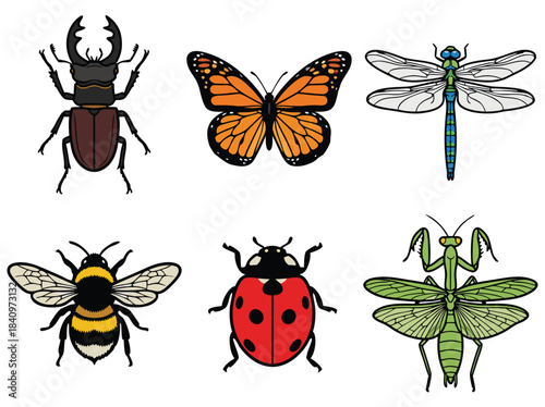A collection of six different colorful insect illustrations, including a stag beetle, monarch butterfly, dragonfly, bumblebee, ladybug, and praying mantis.
