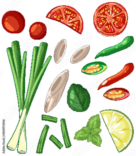 Fresh Asian Food Ingredients Vector Illustration Collection