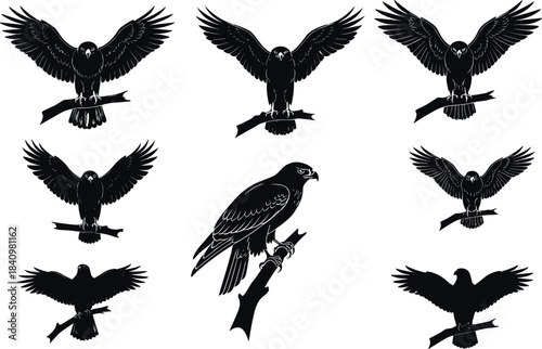 Hawk silhouettes perched on branches, symmetrical wing spread, central profile pose, black bird layout - flavector