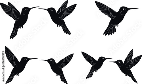 Hummingbird silhouette pairs in mirrored flight poses, symmetrical composition, dynamic wing motion - flavector