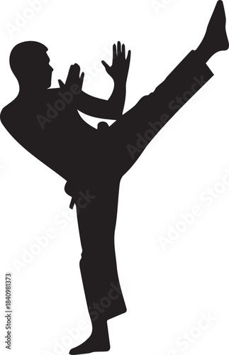 Martial Arts Man Kicking High in Air Silhouette