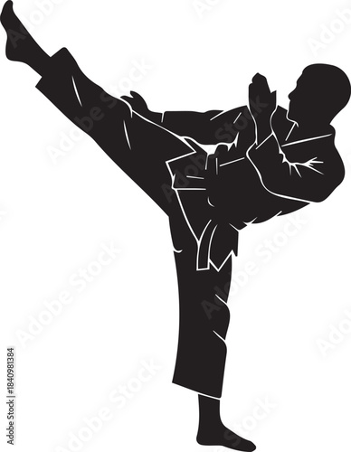 Karate Man Kicking High in Black Silhouette on White Background