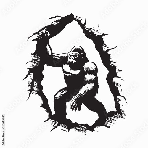Gorilla Standing Stock Vectors and Vector Art on white Background
