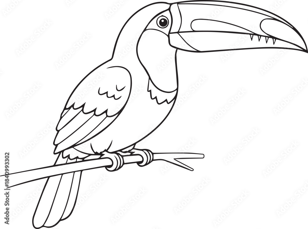 Fototapeta premium Doodle animal for toucan bird silhouette vector flat illustration design
