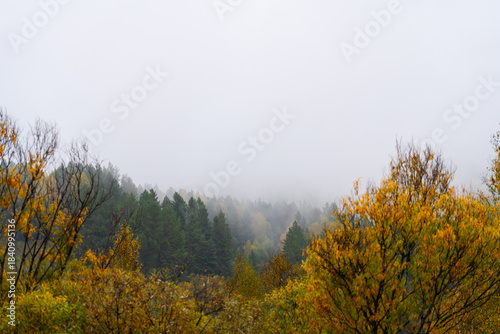 Layers of colorful autumn forest trees with green pines and yellow foliage on a hillside obscured by thick white mist and fog on a cloudy day