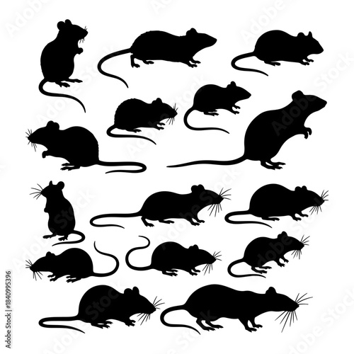 close up view of rat silhouette of icons set side, front, back, and top views