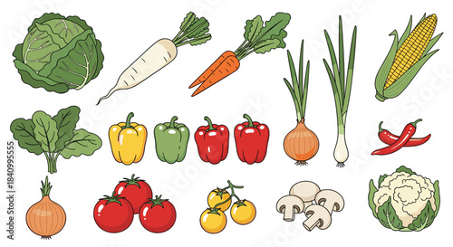 Colorful assortment of fresh, healthy vegetables including cabbage, carrots, peppers, tomatoes, and corn, illustrated in a detailed line art style.