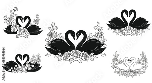 Elegant black swan and floral designs for romantic and decorative applications