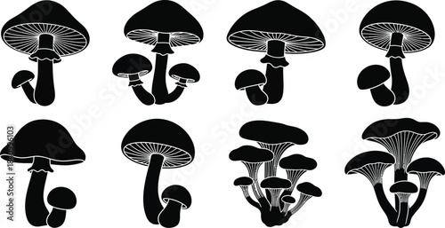 A collection of black and white mushroom illustrations in varying shapes and sizes