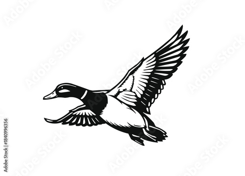 flying duck silhouette, flying duck vector illustration