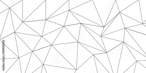 Transparent PNG available
Abstract of simple gray line triangle pattern geometric backrow creative and geometric shape with white luxury pattern. Gray and white geometric background Pattan.