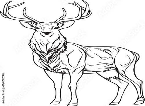 Detailed sketch of a majestic stag with large branching antlers